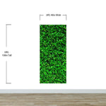 Mural de papel tapiz con fondo de hierba verde. #6551 