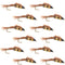 Double Bead Pheasant Tail Nymph Fly Fishing Flies -  1 Dozen Flies Hook Size 10