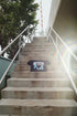 In Motion T Shirt