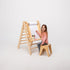 6 in 1 Montessori Climbing Set: Triangle Ladder + Arch/Rocker + Slide/Ramp + Net + Cushion + Art Addition
