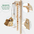 6 in 1 Wooden Swedish Wall / Climbing ladder for Children + Swing Set + Slide Board