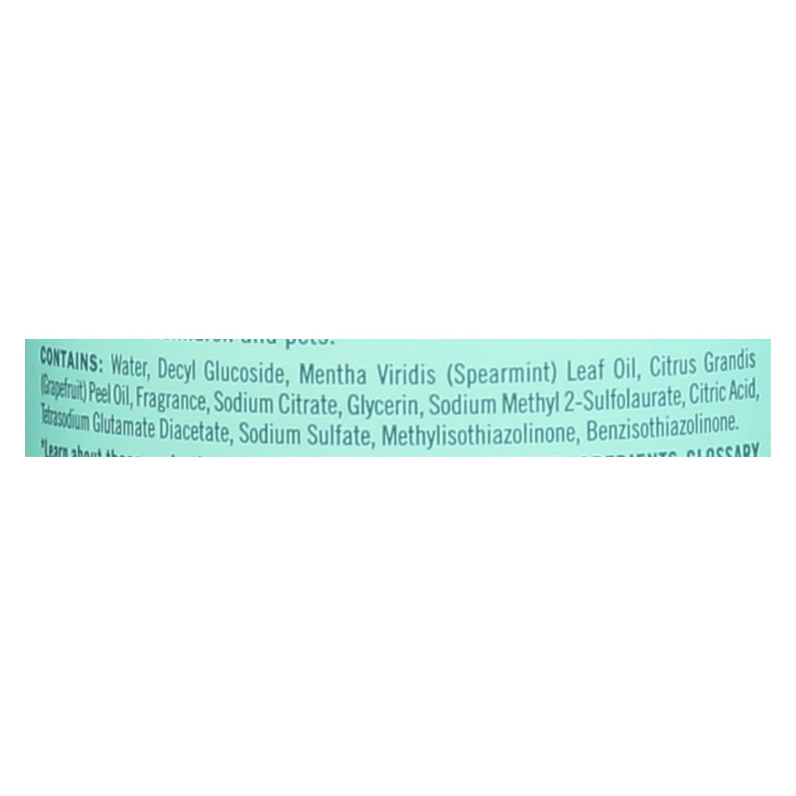 Mrs. Meyer's Clean Day Multi-Surface Cleaner, Mint Scent (Pack of 6 - 16 Fl Oz)
