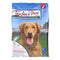 Alimento tierno y auténtico para perros con salmón, batata y superalimentos, 11 lb