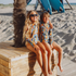 Kid's girl's One-piece swimsuit with sleeves Feathers