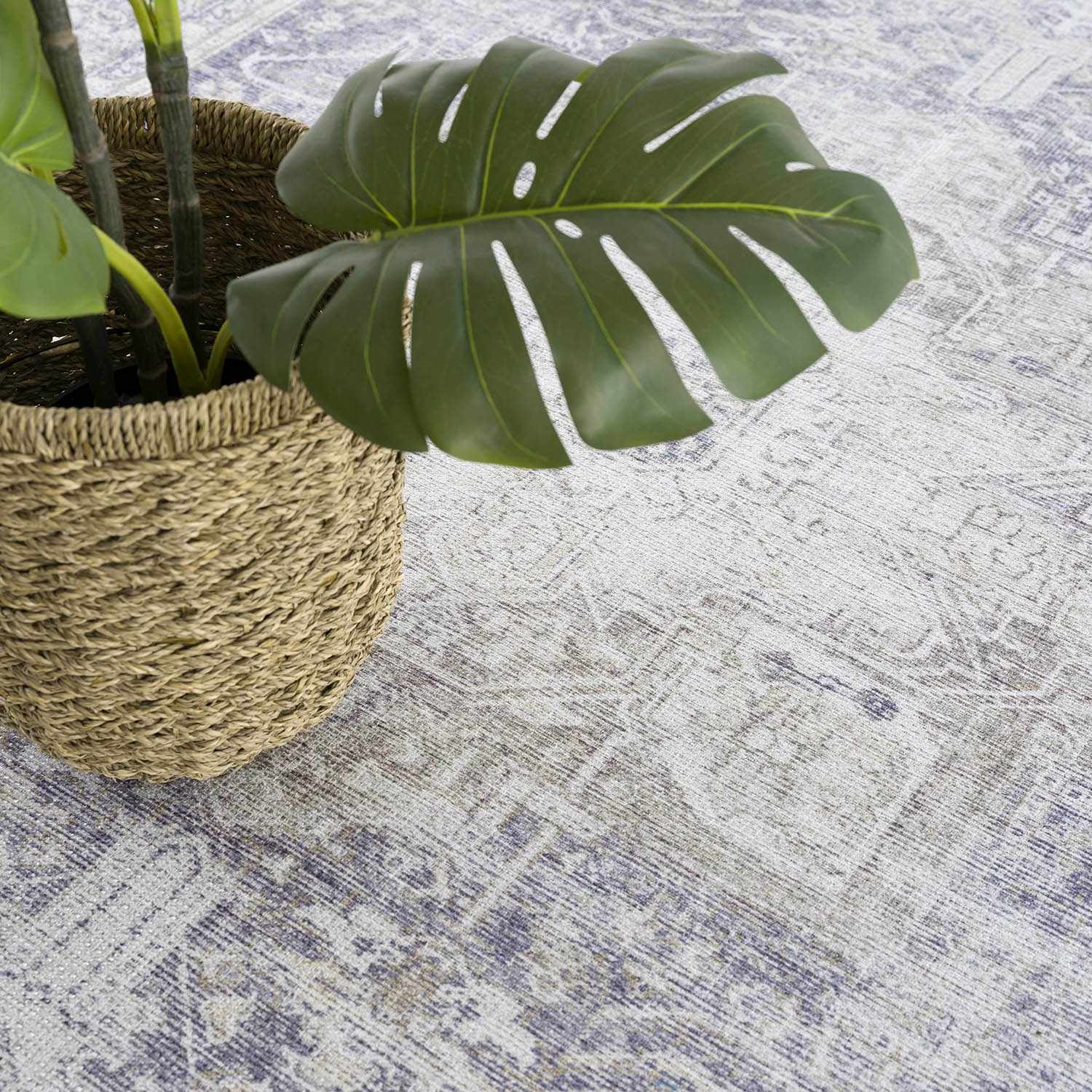 Alfombra lavable Olive Rosman - Edición limitada