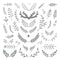 Clear Stamp - Antler & Branches - 12x12