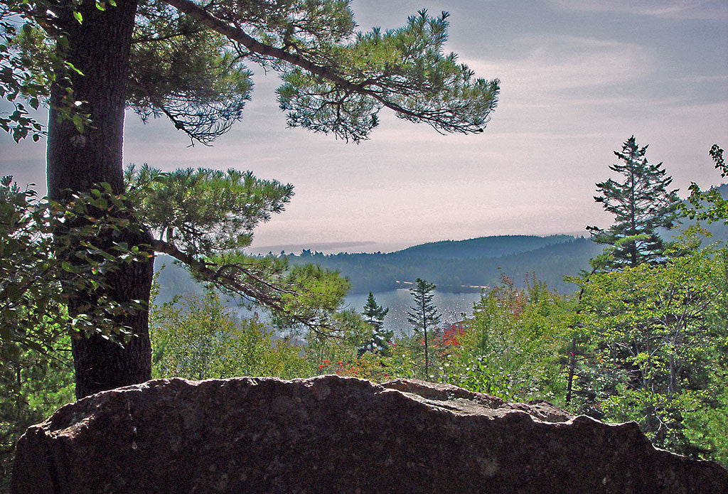 Acadia National Park Hiking Trail Map
