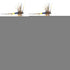 Adams Female Classic Dry Fly - 6 Flies - Hook Size 14