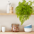 Le Parfait Super Jars - Food Storage Containers