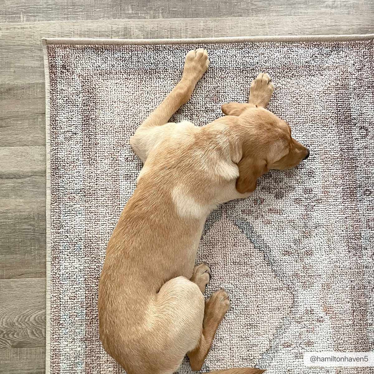 Alfombra lavable antideslizante Analu