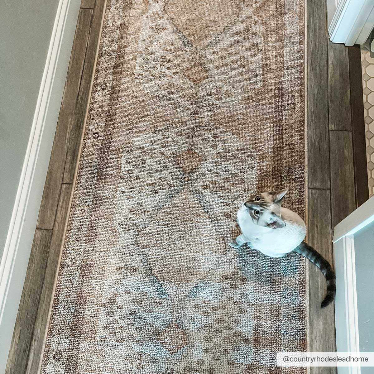 Alfombra lavable antideslizante Analu