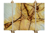 Agora Gold Light Beige Marble Slabs Polished - Livfloors Collection