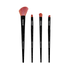 Peanuts Halloween | Witchy Blend 4 PC Eye & Face Brush Set