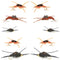 Basics Collection - Kaufmann's Tungsten Bead Stonefly Nymph Assortment - 10 Bead Head Rubber Legs Wet Flies - 5 Patterns - Hook Sizes 4, 6, 8, 10, and 12