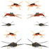 Basics Collection - Kaufmann's Tungsten Bead Stonefly Nymph Assortment - 10 Bead Head Rubber Legs Wet Flies - 5 Patterns - Hook Sizes 4, 6, 8, 10, and 12