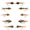 Basics Collection - Copper John and Bead Head Nymph Assortment - 10 Wet Flies - 5 Patterns - Hook Sizes 10, 12, 14, 16