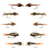 Basics Collection - Copper John and Bead Head Nymph Assortment - 10 Wet Flies - 5 Patterns - Hook Sizes 10, 12, 14, 16