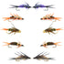 Basics Collection - Double Bead Head Nymph Assortment - 10 Wet Flies - 5 Patterns - Hook Size 14