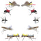 Basics Collection - Terrestrials Dry Fly Assortment - 10 Dry Fishing Flies - Hopper, Ant and Beetle Fishing Fly Patterns - Hook Sizes 10, 12 and 14