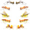 Basics Collection - Foam Hoppers Dry Fly Assortment - 10 Dry Fishing Grasshopper Flies - 5 Patterns - Hook Size 10