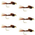 Bead Head Pheasant Tail Nymph Fly Fishing Flies - 6 Flies Hook Size 18