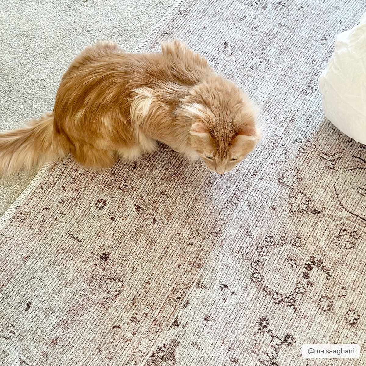 Alfombra lavable de pelo plano vintage Bethany