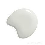 Manor Borne Wall Paint Bundle
