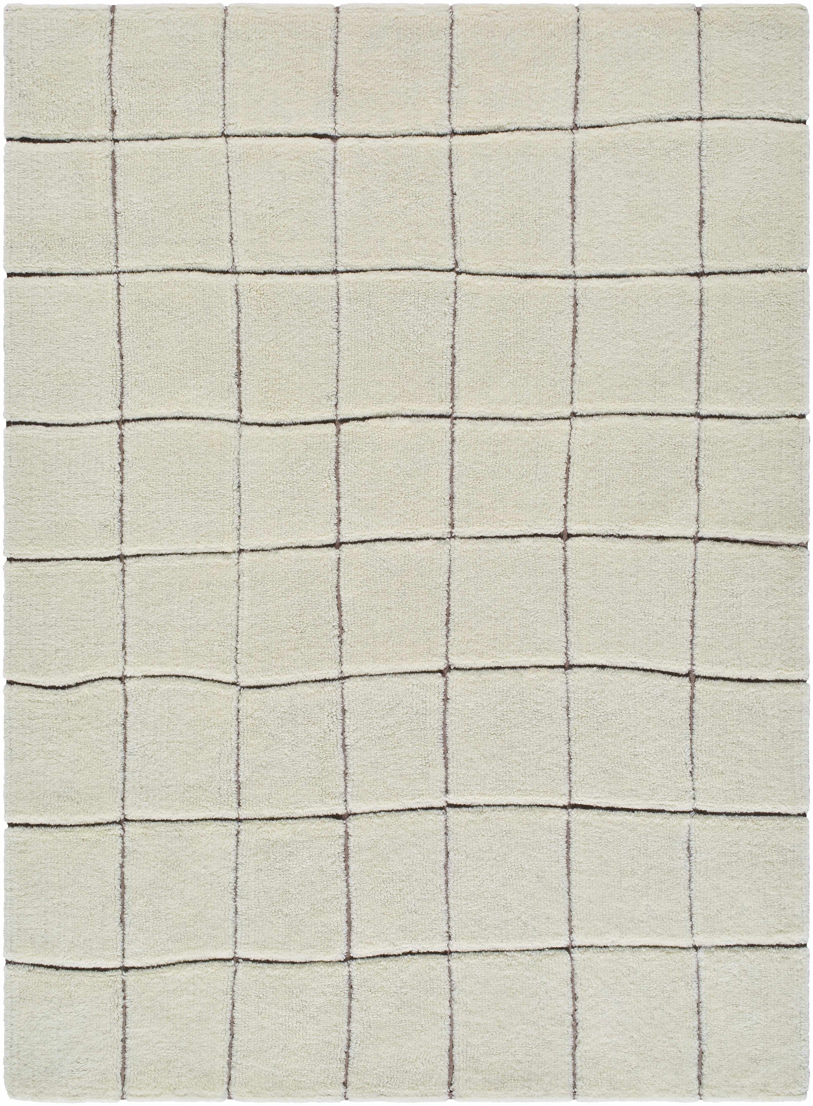 Caolan Washable Area Rug