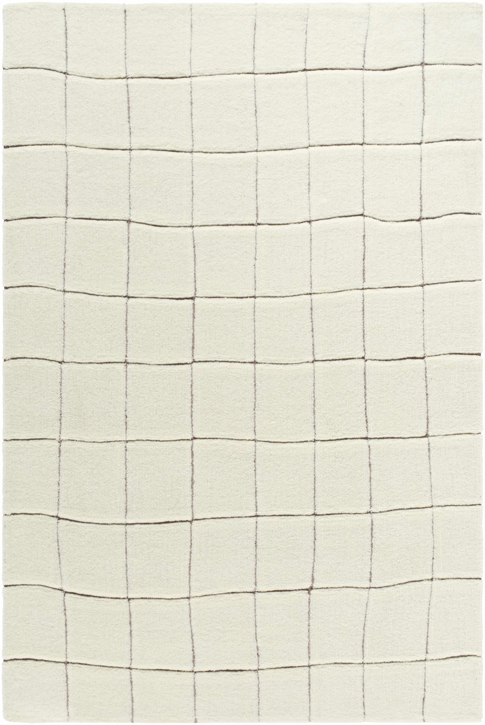 Caolan Washable Area Rug