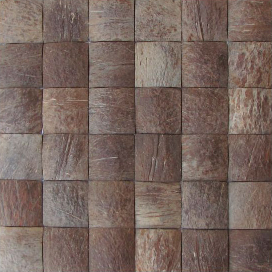 Coconut Shell 2
