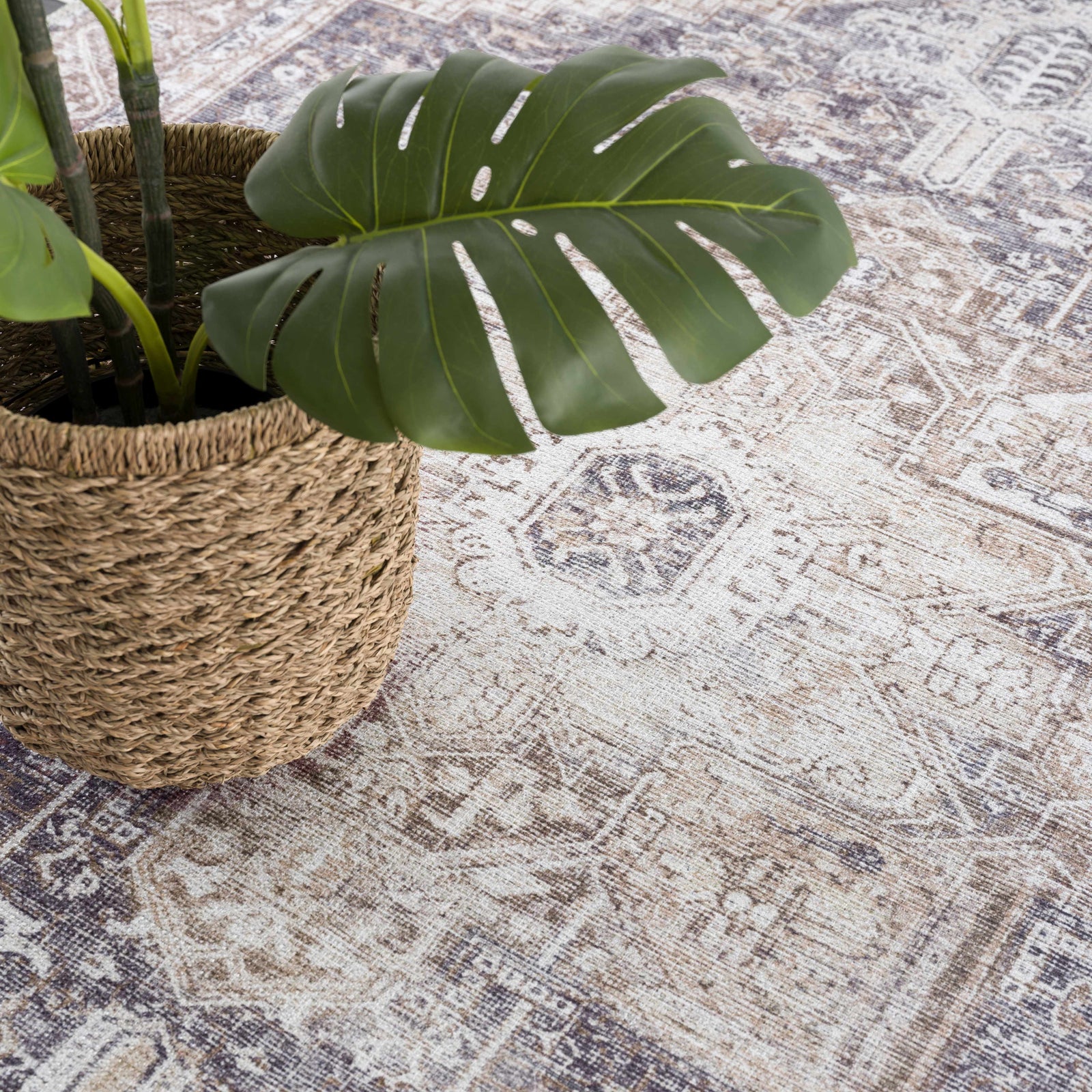 Alfombra lavable beige Rosman - Edición limitada