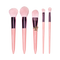 Dear Cupid - Struck By Love 5 PC Face & Eye Brush Set