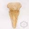 Decorative Sconce