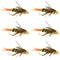 Double Bead Twenty Incher Nymph Fly Fishing Flies - 6 Flies Hook Size 8