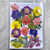 Blue & Yellow Multi Dried Flowers