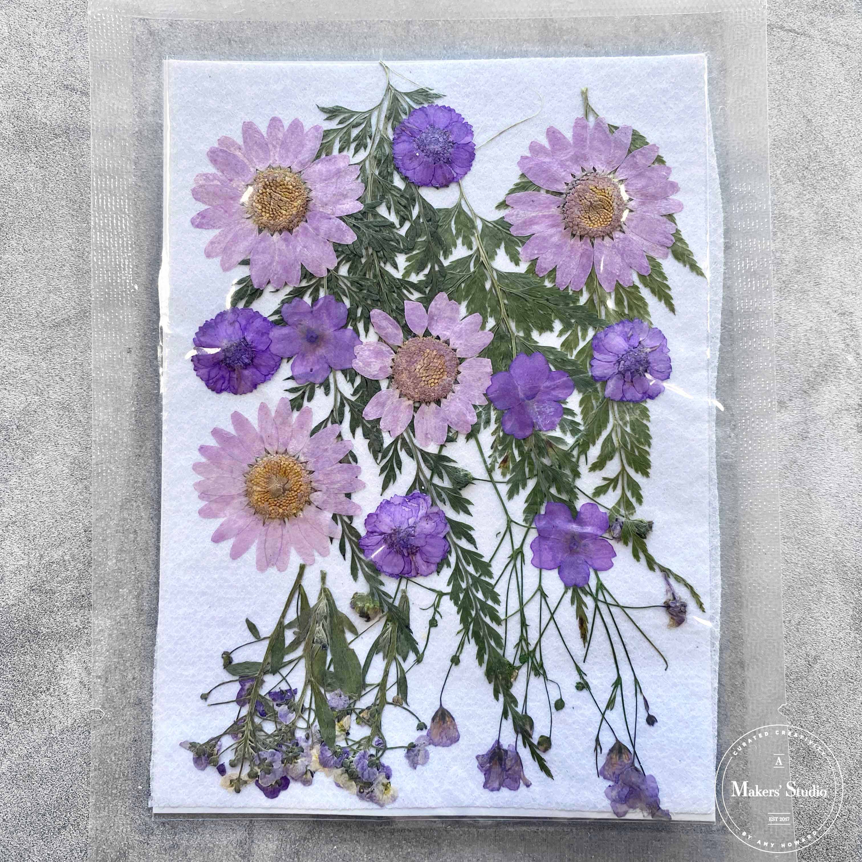 Flores secas moradas