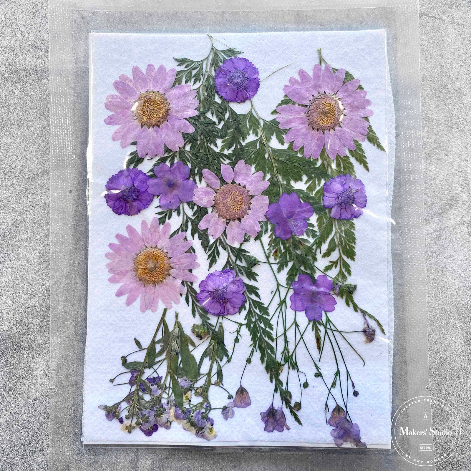 Flores secas moradas