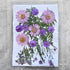 Flores secas moradas