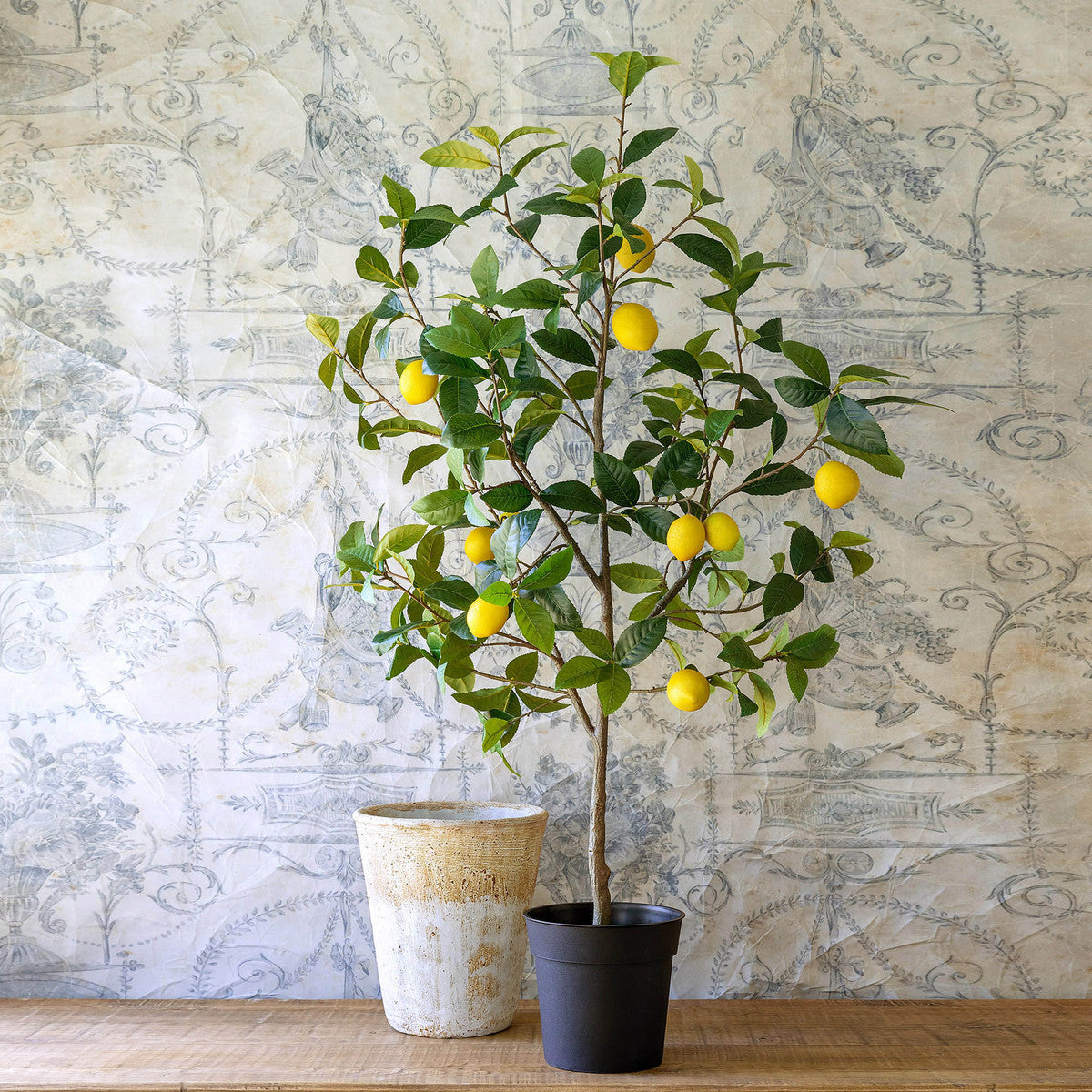 Lovecup Lemon Tree in Plastic Pot L702