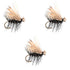 3 Pack Black Elk Hair Caddis Classic Trout Dry Flies Size 16
