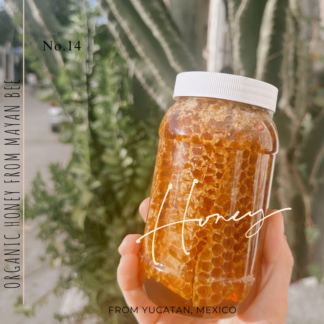 CHAMPÚ PARA CABELLO CON MIEL ORGÁNICA ZEEK MAYAN BEE / BOTELLA DE 16 OZ