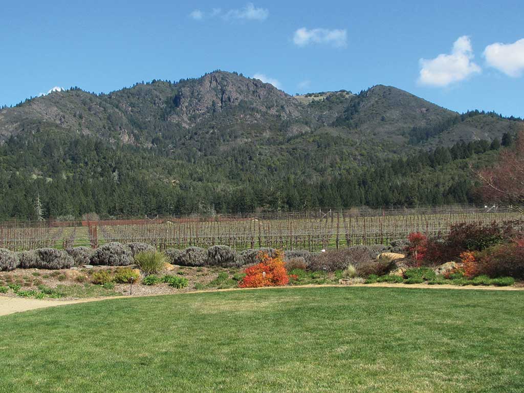 Sonoma Valley Trails Hiking Trail Map