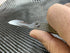 Folding Titanium Craft Scalpel Knife + Case + Spare Blades!