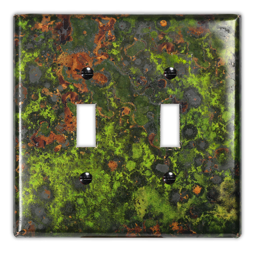 Irish Moss Copper - 2 Toggle Wallplate