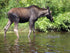 Katahdin Baxter State Park Hiking Trail Map