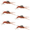 Tungsten Bead Kaufmann's Brown Stone Fly with Rubber Legs - Stonefly Wet Fly - 6 Flies Hook Size 8