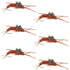 Tungsten Bead Kaufmann's Brown Stone Fly with Rubber Legs - Stonefly Wet Fly - 6 Flies Hook Size 8