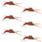 Tungsten Bead Kaufmann's Brown Stone Fly with Rubber Legs - Stonefly Wet Fly - 6 Flies Hook Size 10