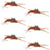 Tungsten Bead Kaufmann's Brown Stone Fly with Rubber Legs - Stonefly Wet Fly - 6 Flies Hook Size 10