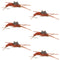 Tungsten Bead Kaufmann's Brown Stone Fly with Rubber Legs - Stonefly Wet Fly - 6 Flies Hook Size 12